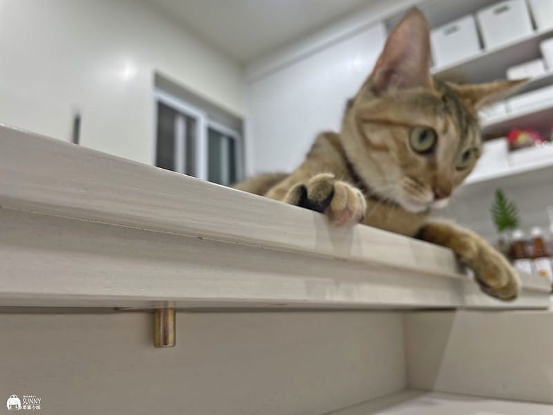 2022-08-03 15.43.29(1659620979.060153)