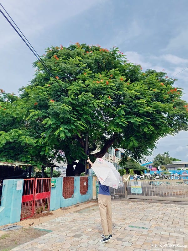 LisaLarson防曬降溫傘