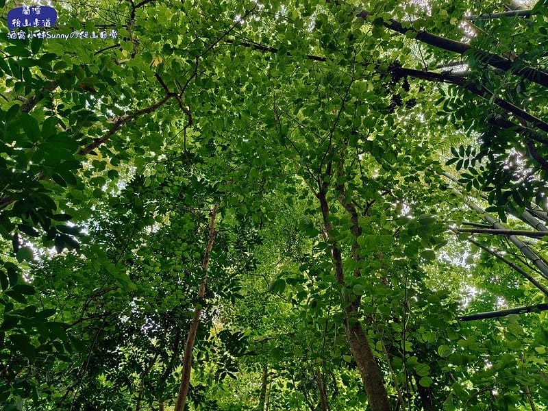 蘭潭後山步道、紅毛埤山