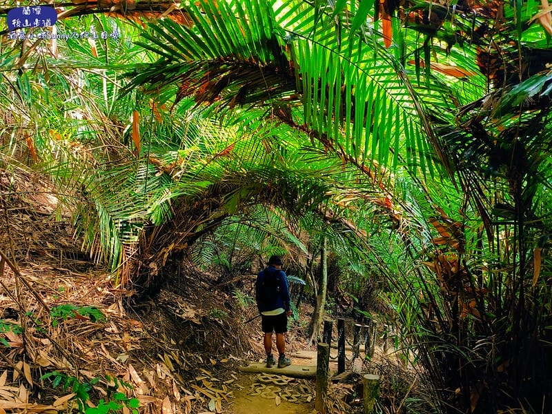 蘭潭後山步道、紅毛埤山