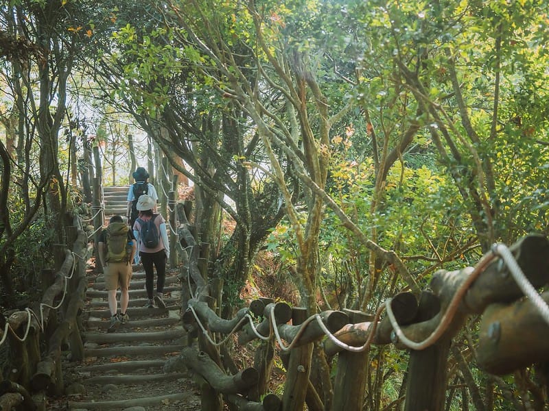 20221112 台中大坑4號步道