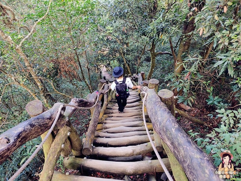 20221112 台中大坑4號步道