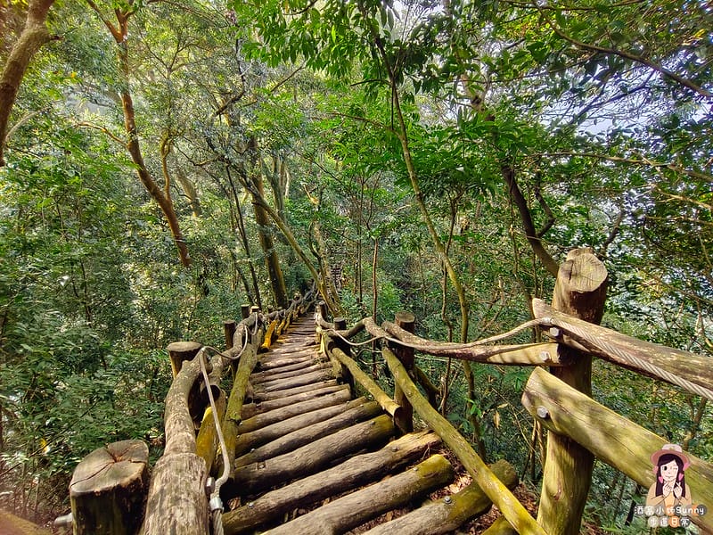 20221112 台中大坑4號步道