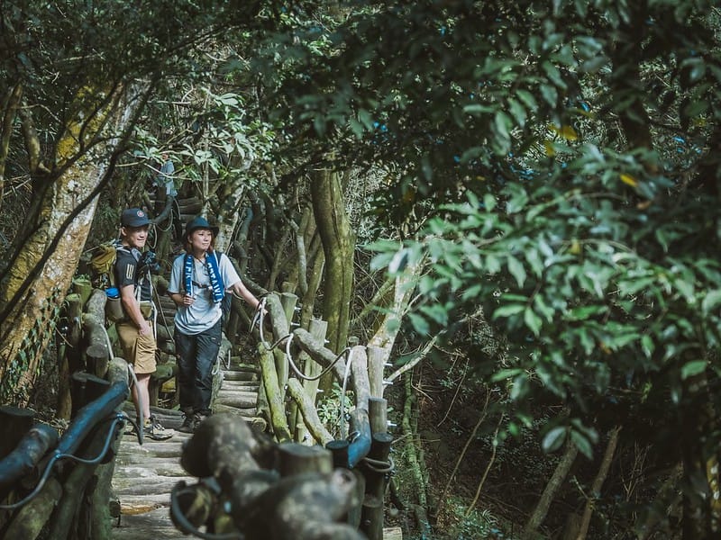 20221112 台中大坑4號步道