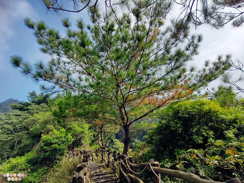 20221112 台中大坑4號步道