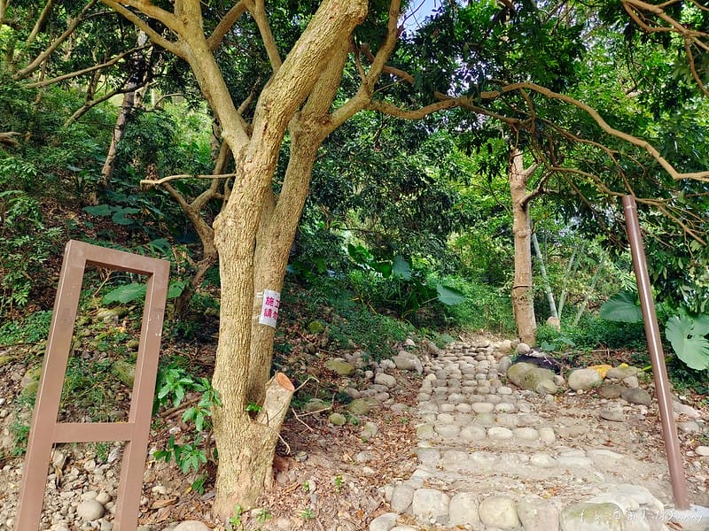 20221112 台中大坑4號步道