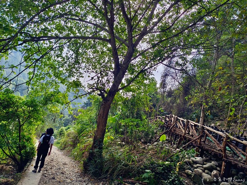 20221112 台中大坑4號步道