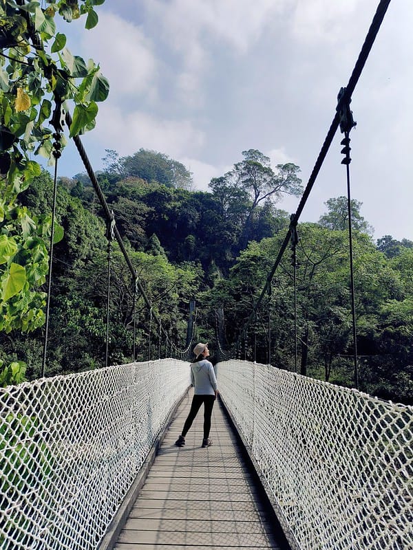 20221112 台中大坑4號步道