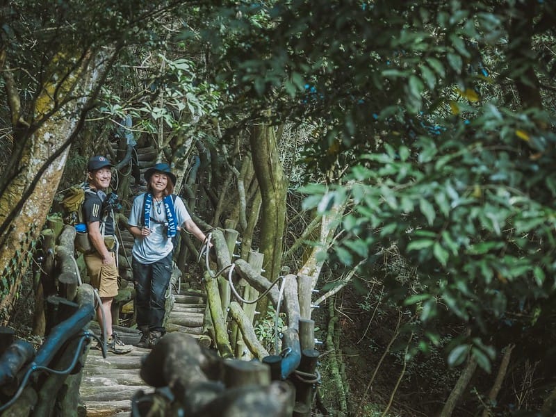 20221112 台中大坑4號步道