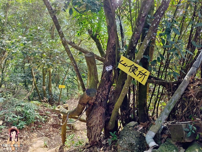 20221112 台中大坑4號步道