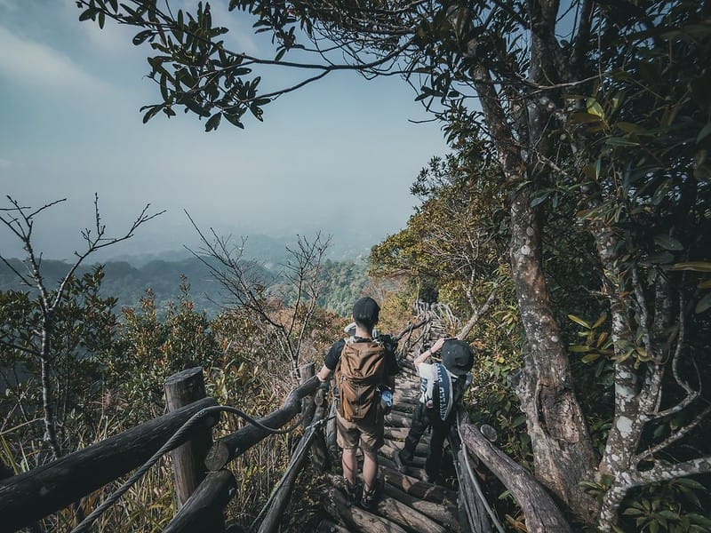 20221112 台中大坑4號步道