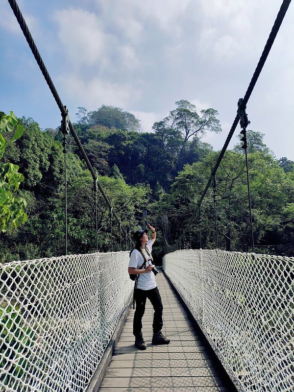 20221112 台中大坑4號步道
