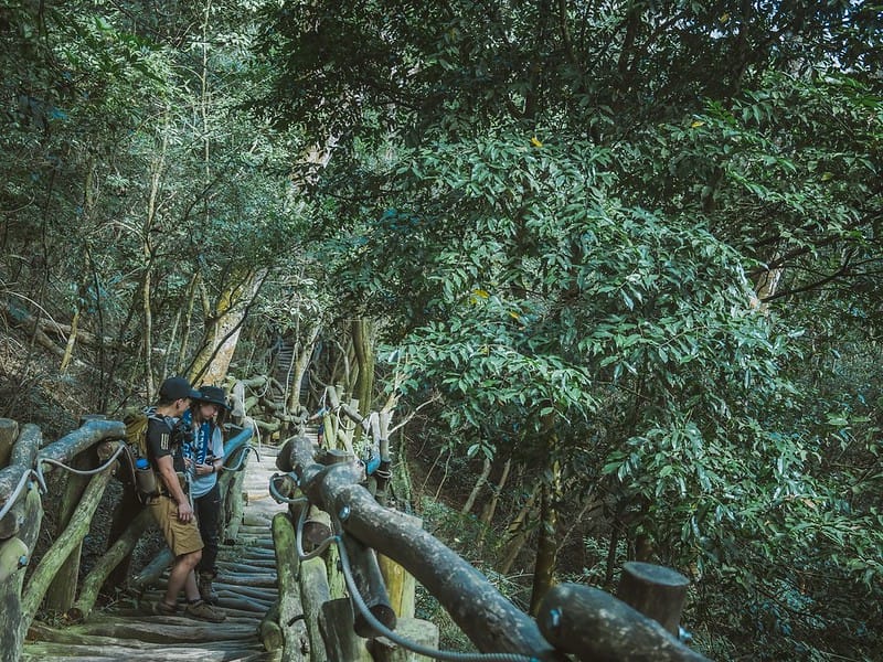 20221112 台中大坑4號步道