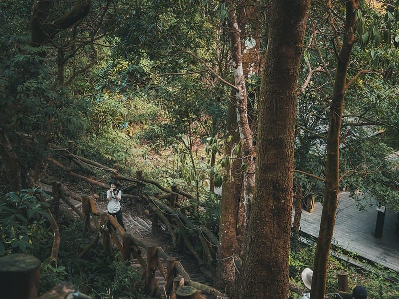 20221112 台中大坑4號步道