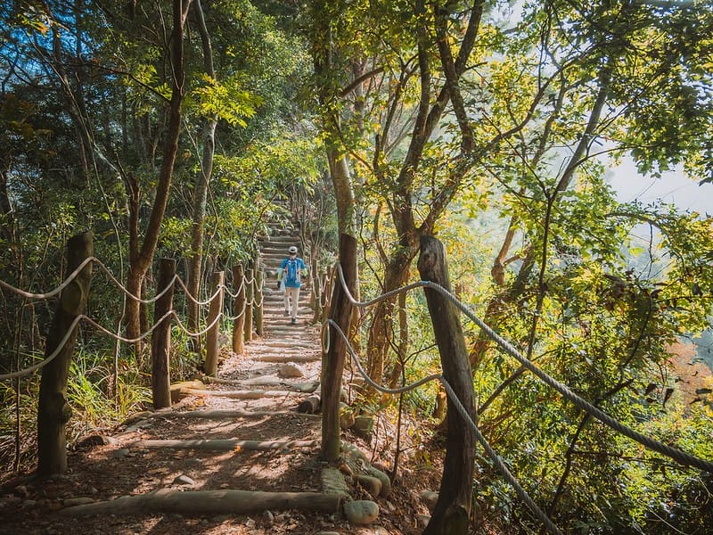 20221112 台中大坑4號步道