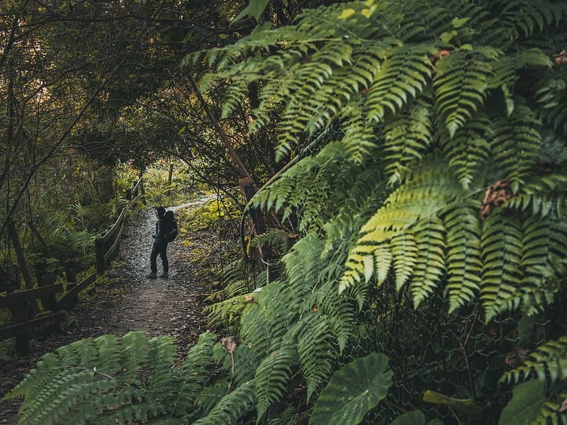 20221029｜苗栗馬拉邦山｜馬拉邦山登山步道ｘ台灣小百岳ｘ賞雲海、賞楓紅