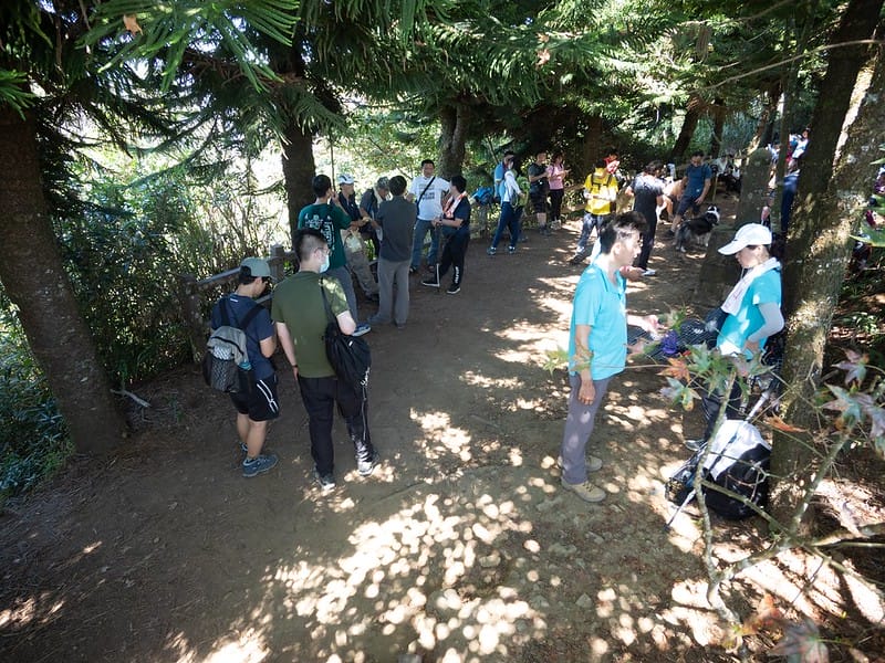 20221029｜苗栗馬拉邦山｜馬拉邦山登山步道ｘ台灣小百岳ｘ賞雲海、賞楓紅