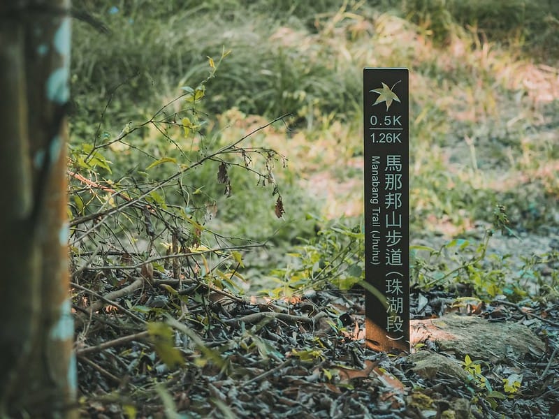 20221029｜苗栗馬拉邦山｜馬拉邦山登山步道ｘ台灣小百岳ｘ賞雲海、賞楓紅