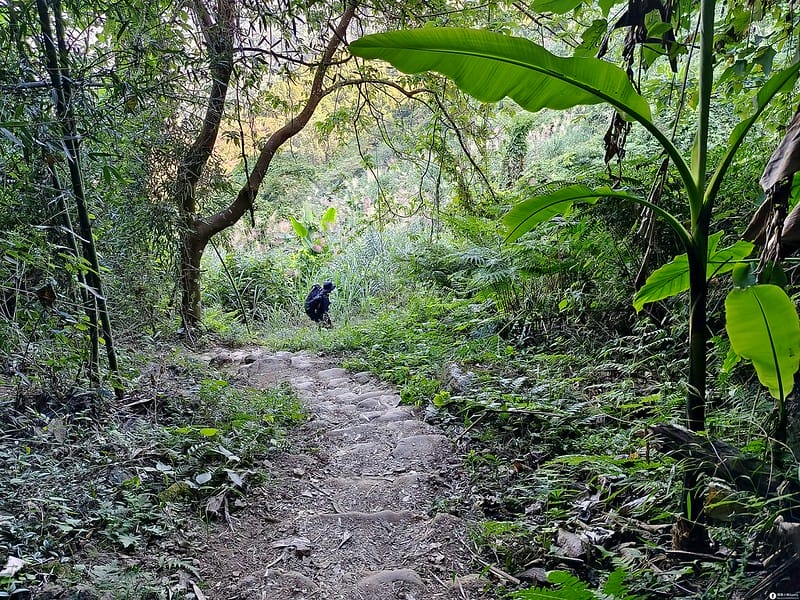 20221029｜苗栗馬拉邦山｜馬拉邦山登山步道ｘ台灣小百岳ｘ賞雲海、賞楓紅