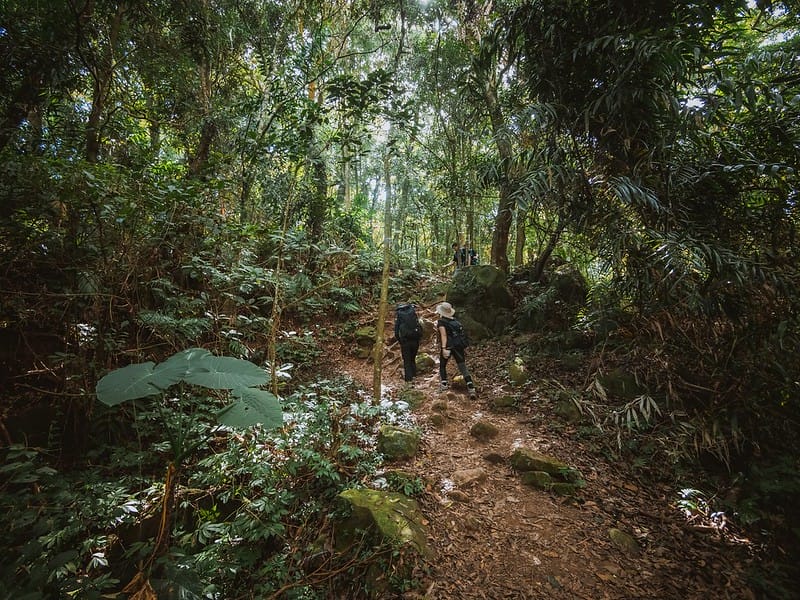 20221029｜苗栗馬拉邦山｜馬拉邦山登山步道ｘ台灣小百岳ｘ賞雲海、賞楓紅