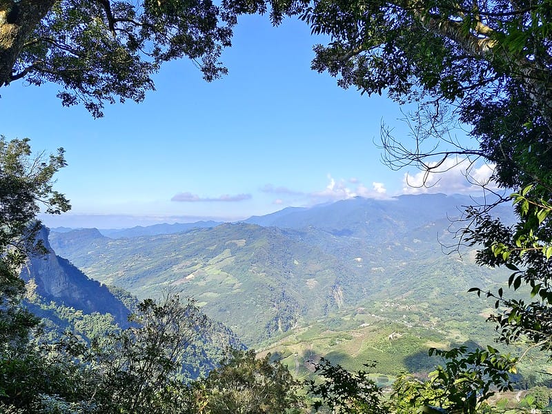 20221029｜苗栗馬拉邦山｜馬拉邦山登山步道ｘ台灣小百岳ｘ賞雲海、賞楓紅