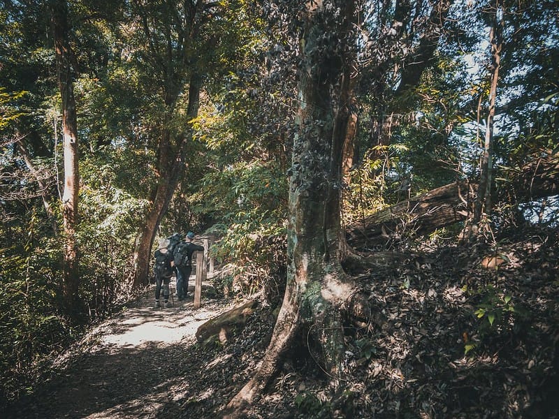 20221029｜苗栗馬拉邦山｜馬拉邦山登山步道ｘ台灣小百岳ｘ賞雲海、賞楓紅