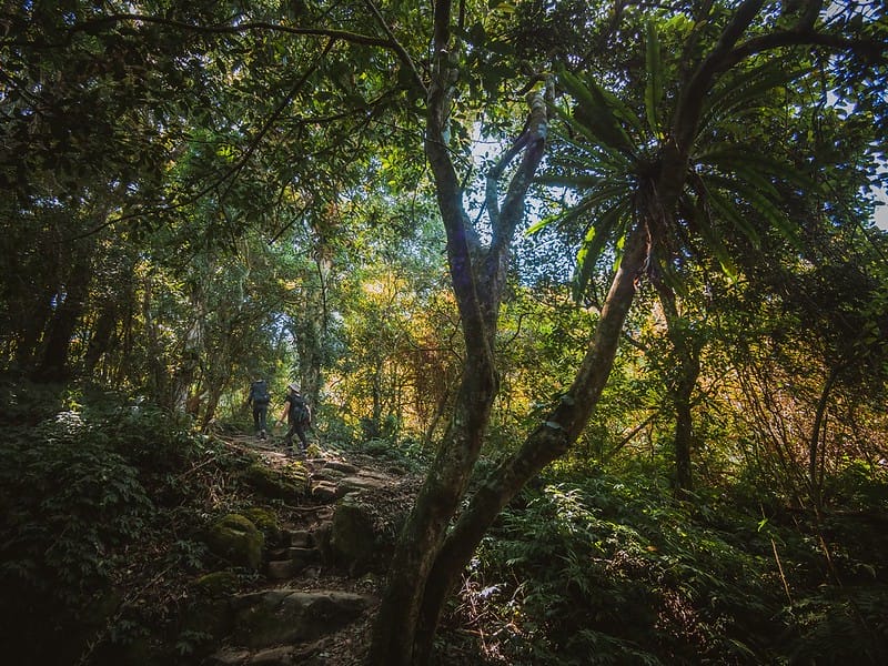 20221029｜苗栗馬拉邦山｜馬拉邦山登山步道ｘ台灣小百岳ｘ賞雲海、賞楓紅