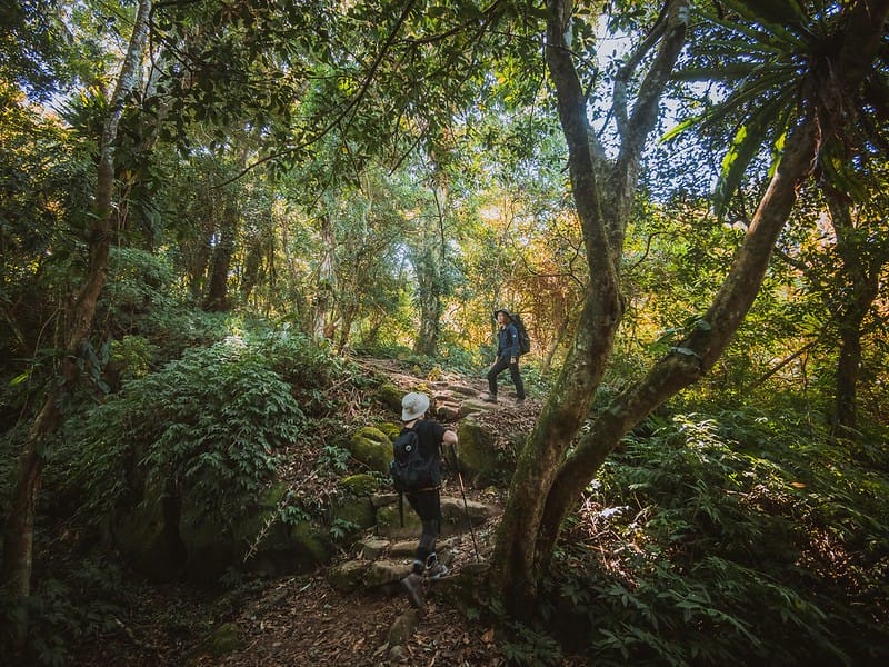 20221029｜苗栗馬拉邦山｜馬拉邦山登山步道ｘ台灣小百岳ｘ賞雲海、賞楓紅