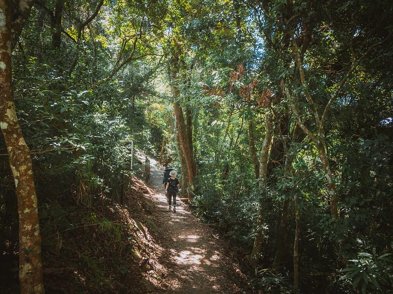 20221029｜苗栗馬拉邦山｜馬拉邦山登山步道ｘ台灣小百岳ｘ賞雲海、賞楓紅