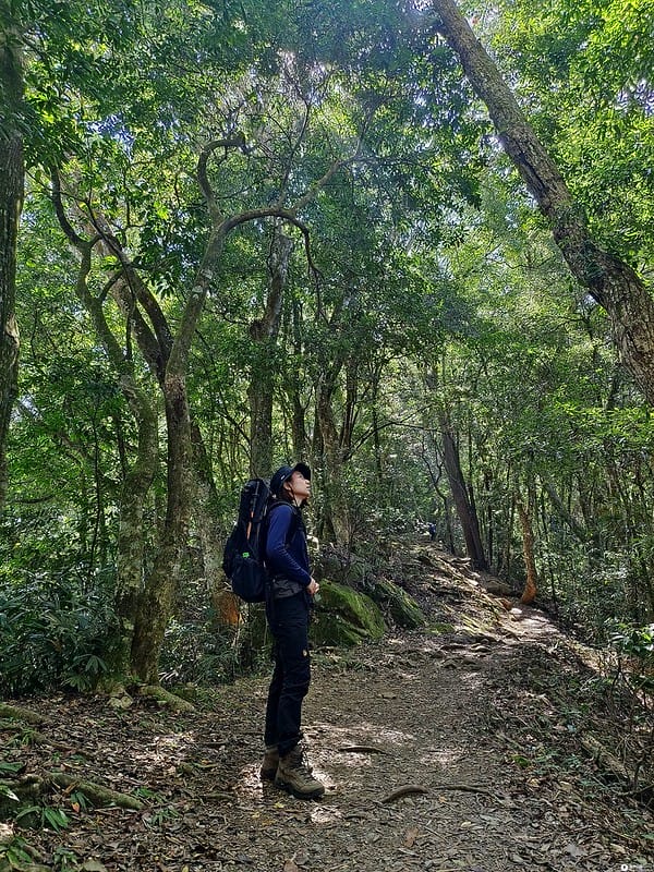 20221029｜苗栗馬拉邦山｜馬拉邦山登山步道ｘ台灣小百岳ｘ賞雲海、賞楓紅