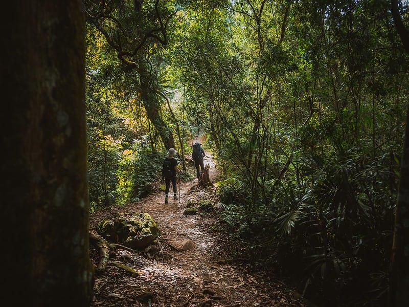 20221029｜苗栗馬拉邦山｜馬拉邦山登山步道ｘ台灣小百岳ｘ賞雲海、賞楓紅