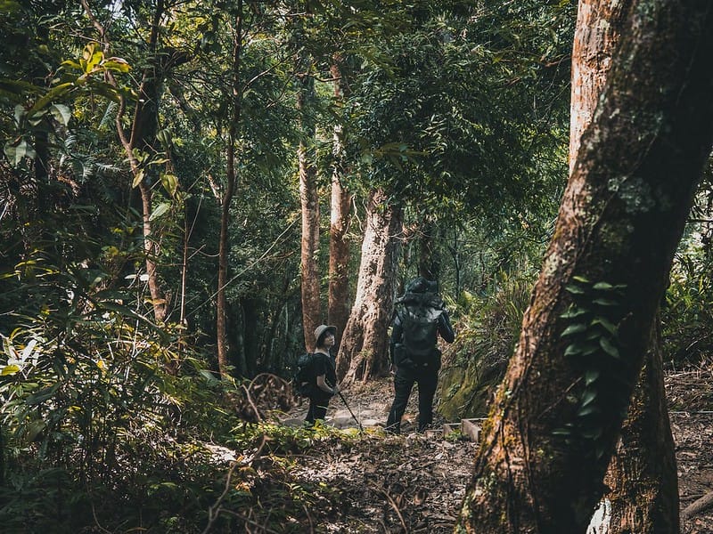 20221029｜苗栗馬拉邦山｜馬拉邦山登山步道ｘ台灣小百岳ｘ賞雲海、賞楓紅