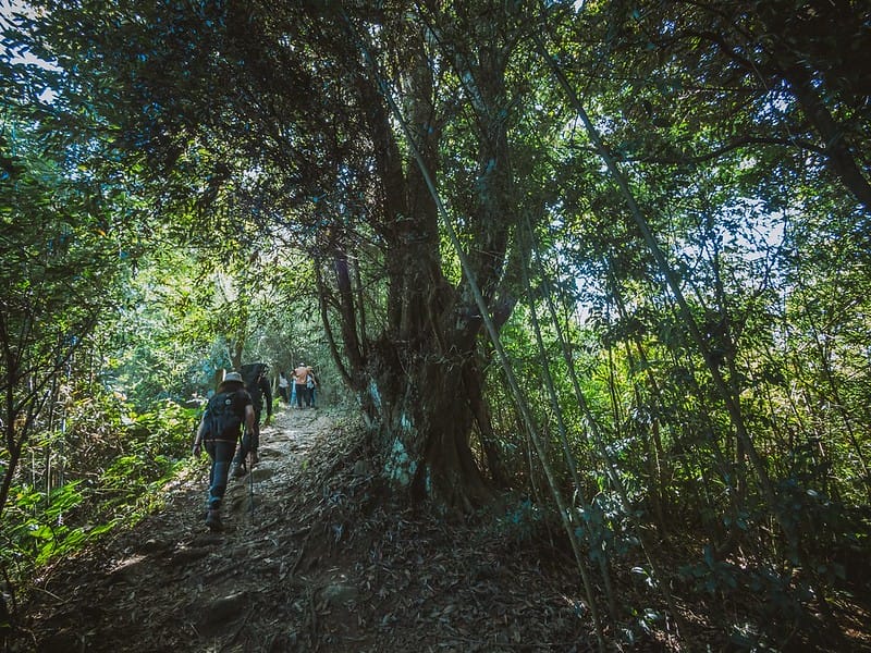 20221029｜苗栗馬拉邦山｜馬拉邦山登山步道ｘ台灣小百岳ｘ賞雲海、賞楓紅