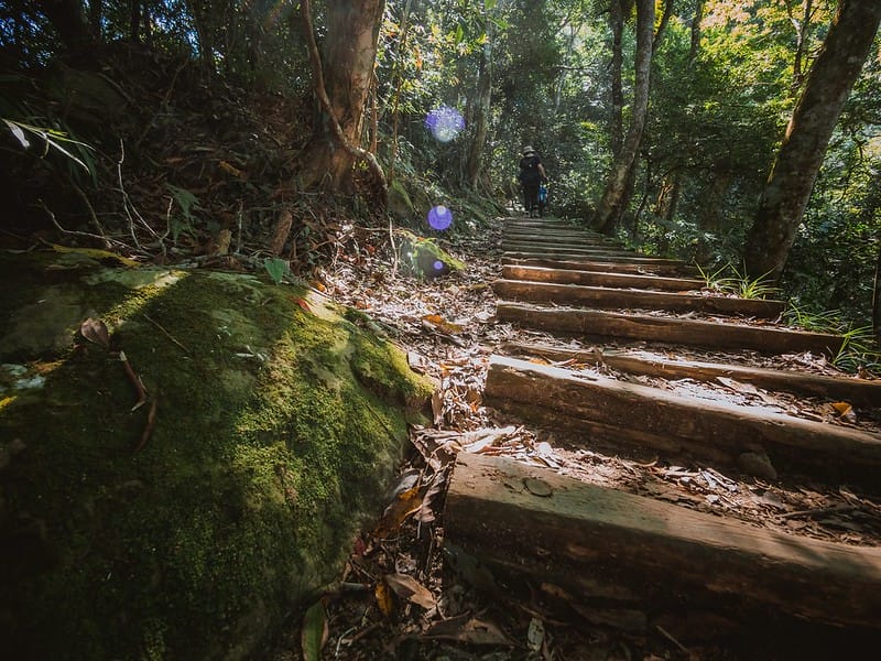 20221029｜苗栗馬拉邦山｜馬拉邦山登山步道ｘ台灣小百岳ｘ賞雲海、賞楓紅