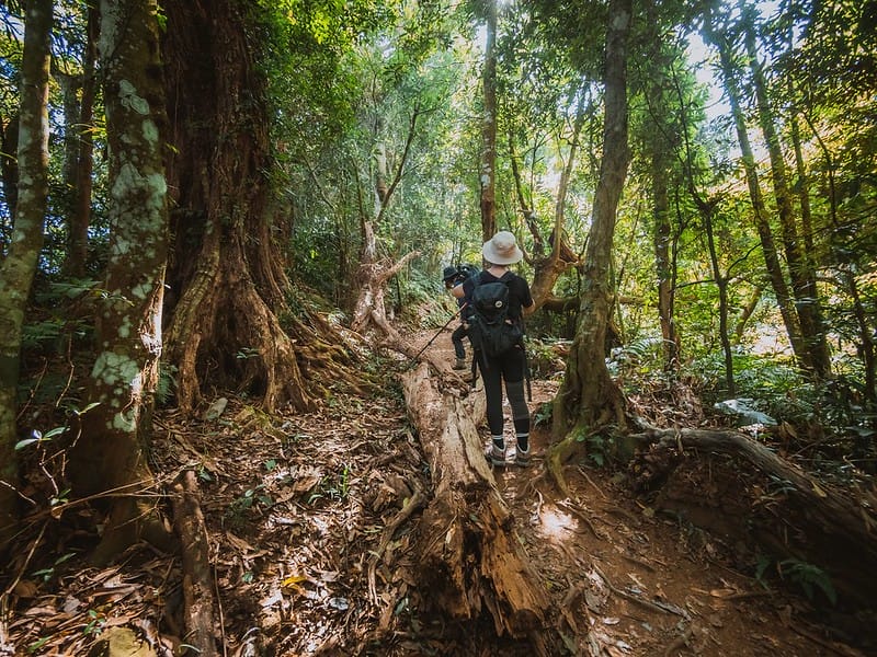 20221029｜苗栗馬拉邦山｜馬拉邦山登山步道ｘ台灣小百岳ｘ賞雲海、賞楓紅