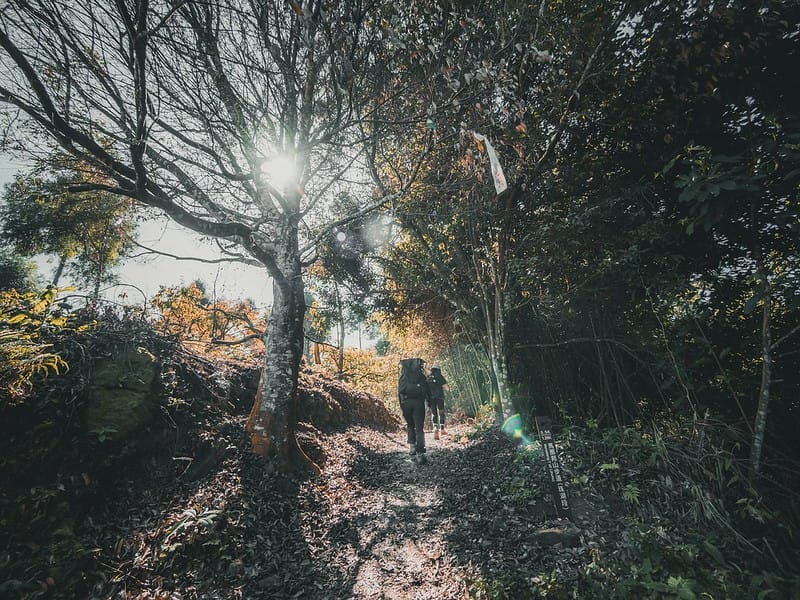 20221029｜苗栗馬拉邦山｜馬拉邦山登山步道ｘ台灣小百岳ｘ賞雲海、賞楓紅