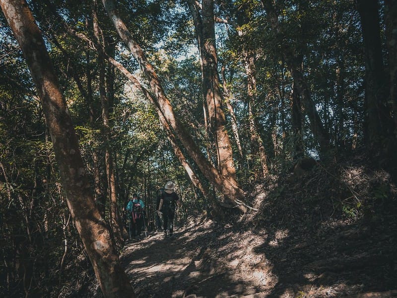 20221029｜苗栗馬拉邦山｜馬拉邦山登山步道ｘ台灣小百岳ｘ賞雲海、賞楓紅