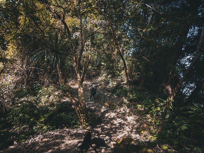 20221029｜苗栗馬拉邦山｜馬拉邦山登山步道ｘ台灣小百岳ｘ賞雲海、賞楓紅