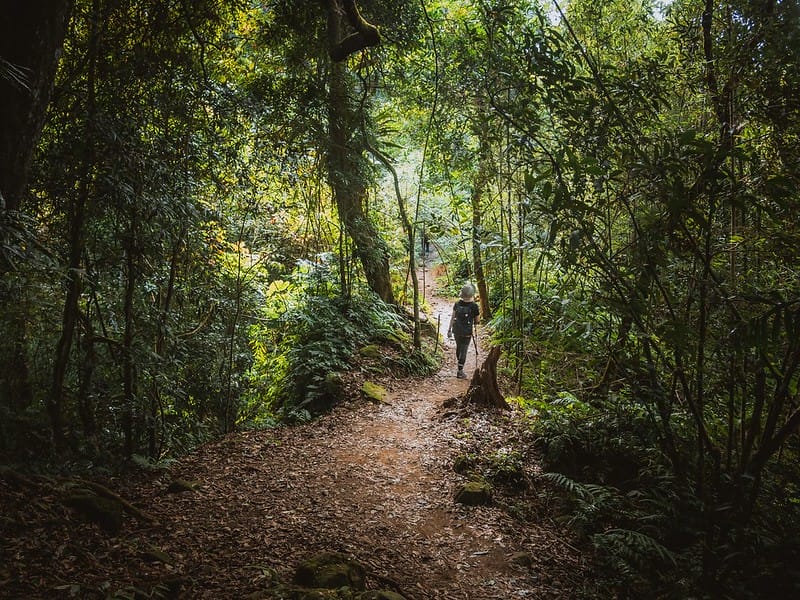 20221029｜苗栗馬拉邦山｜馬拉邦山登山步道ｘ台灣小百岳ｘ賞雲海、賞楓紅