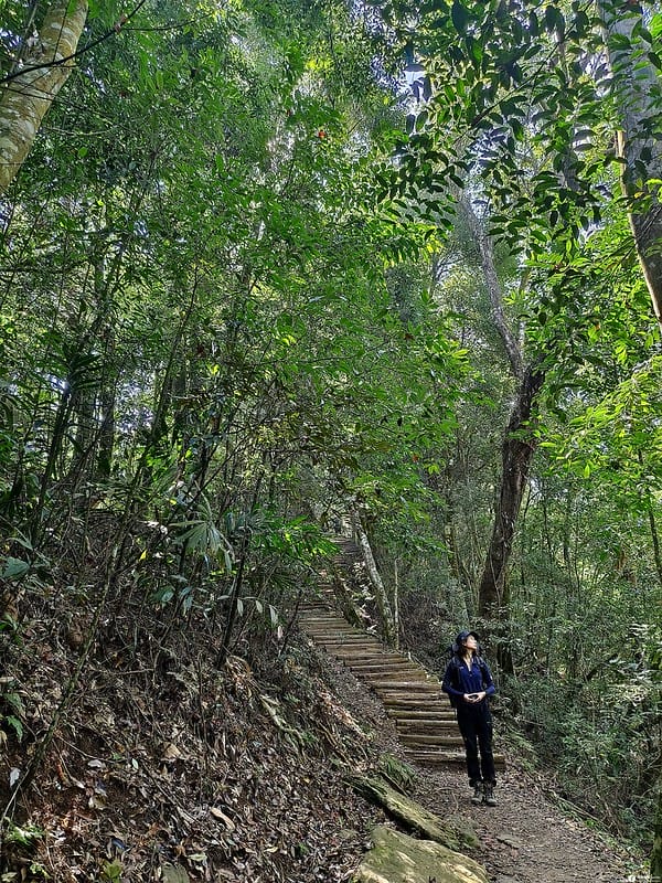 20221029｜苗栗馬拉邦山｜馬拉邦山登山步道ｘ台灣小百岳ｘ賞雲海、賞楓紅