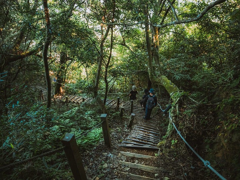 20221029｜苗栗馬拉邦山｜馬拉邦山登山步道ｘ台灣小百岳ｘ賞雲海、賞楓紅
