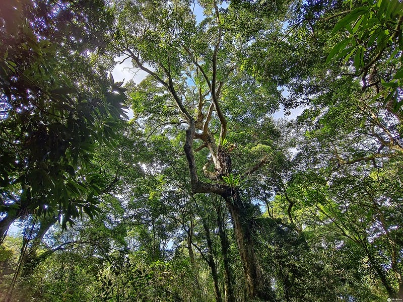 20221029｜苗栗馬拉邦山｜馬拉邦山登山步道ｘ台灣小百岳ｘ賞雲海、賞楓紅