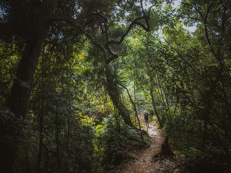 20221029｜苗栗馬拉邦山｜馬拉邦山登山步道ｘ台灣小百岳ｘ賞雲海、賞楓紅