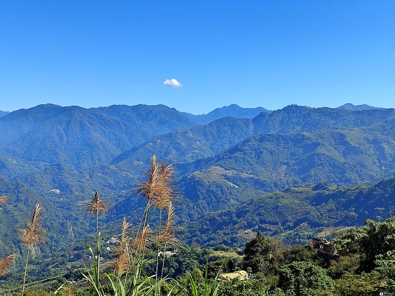 20221029｜苗栗馬拉邦山｜馬拉邦山登山步道ｘ台灣小百岳ｘ賞雲海、賞楓紅