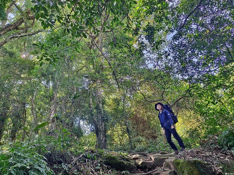 20221029｜苗栗馬拉邦山｜馬拉邦山登山步道ｘ台灣小百岳ｘ賞雲海、賞楓紅