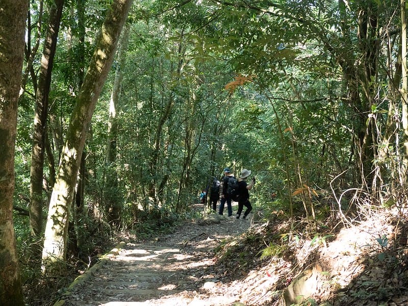 20221029｜苗栗馬拉邦山｜馬拉邦山登山步道ｘ台灣小百岳ｘ賞雲海、賞楓紅