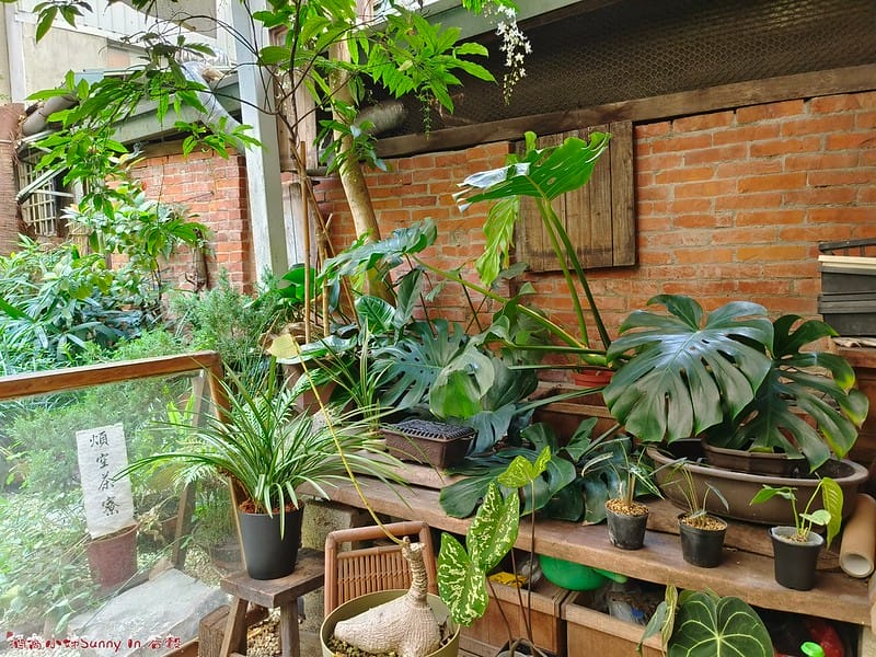 嘉義穀谷(咖哩)_20221213