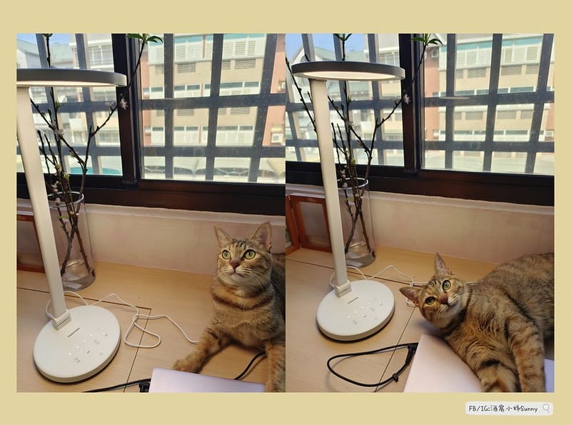 開箱｜日本東芝 TOSHIBA Hi Hikari LED 語音控制檯燈