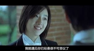 嘉義黃金大道再現!嘉義3處「黃花風鈴木」限時開好開滿,快來衝一波限時的季節限定美景(20233/3/4最新花況)