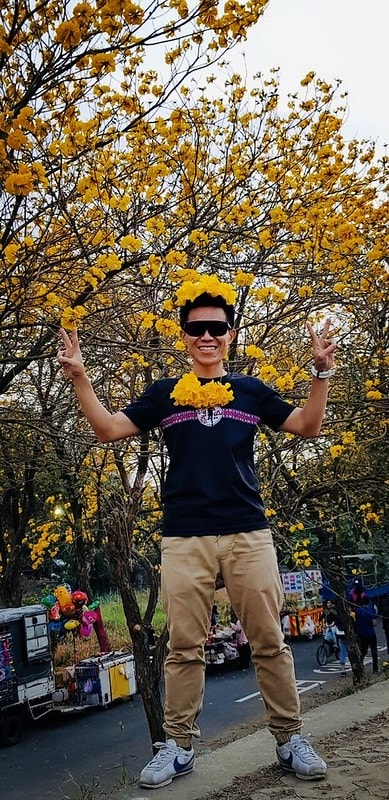 2020年3月黃金風鈴木 花況